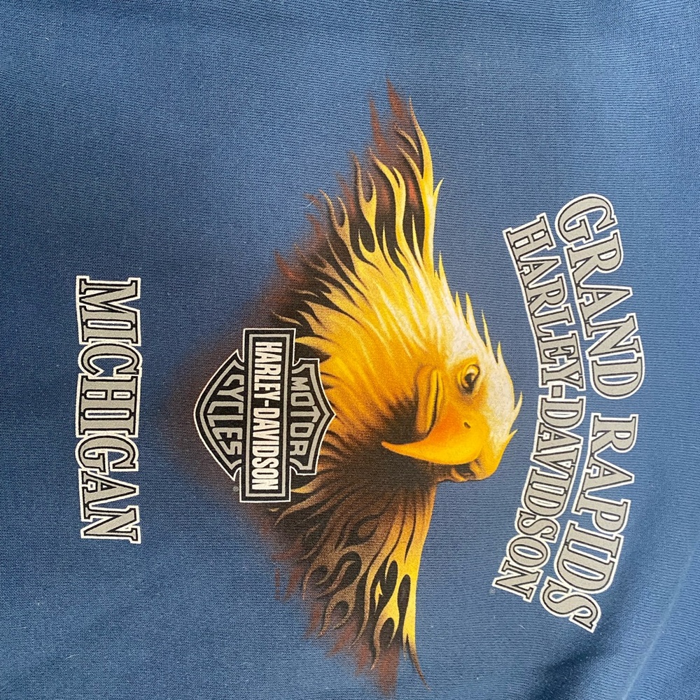 Harley-Davidson Blue Hoodie - Picture 4 of 7